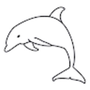 Meet your Posher, Eli